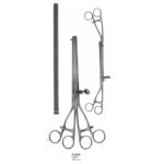 Lane Gastro-Intestinal Straight Forceps Twin 300 mm