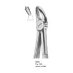Fig 18A Upper Molars Dental Extracting Forcep