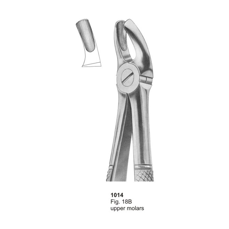 1014.jpg Fig 18B Upper Molars Dental Extraction Forcep - Image 1