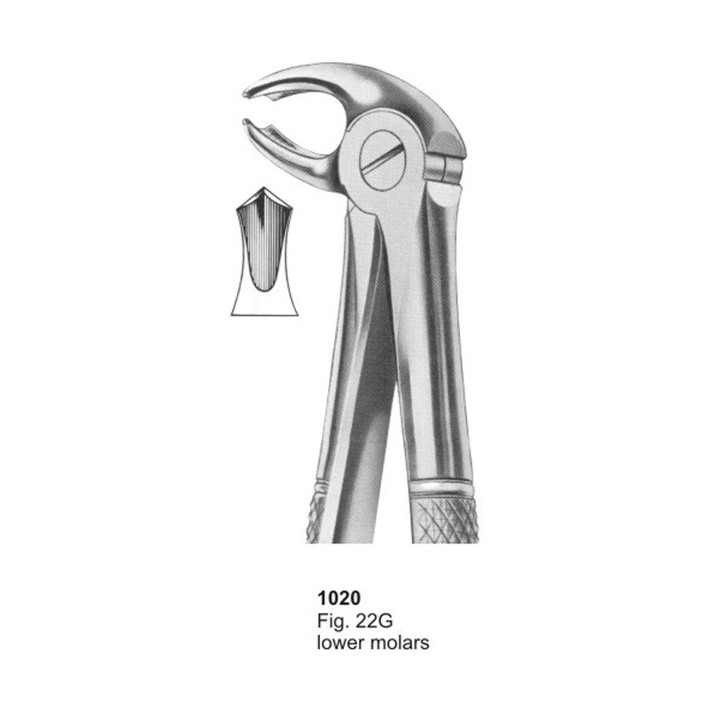 1020.jpg Fig 22G Lower Molars Dental Extracting Forceps - Image 1