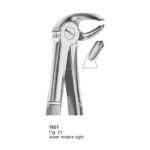 Fig 23 Lower Molars Right Dental Extraction Forcep