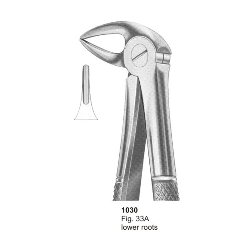 1030.jpg Fig 33A Lower Roots Dental Extracting Forceps - Image 1