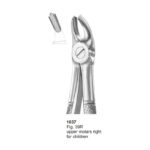 Fig 39R Upper Molars Right For Children Dental Extracting Forceps