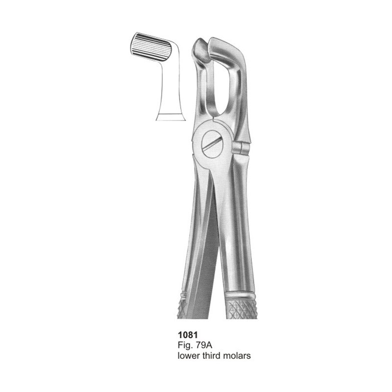 1081.jpg Fig 79A Lower Third Molars Dental Extracting Forceps - Image 1