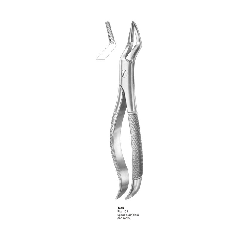 1089.jpg Fig 101 Upper Premolars And Roots Dental Extraction Forcep - Image 1