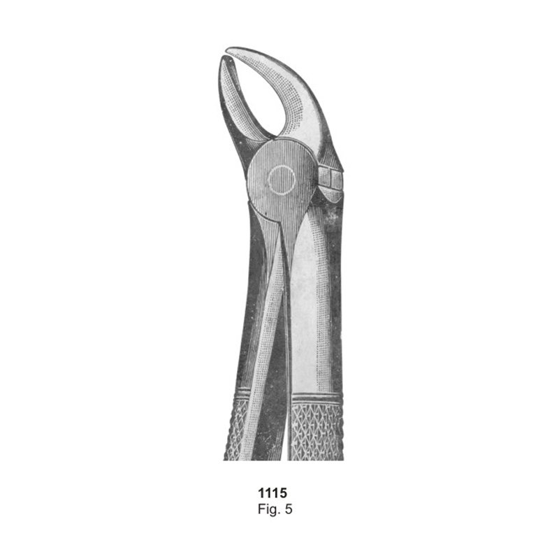 1115.jpg Fig 5 Dental Extracting Forceps - Image 1