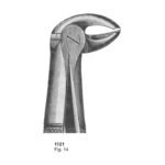 Fig 14 Dental Extraction Forceps
