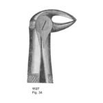 Fig 34 Dental Extraction Forcep