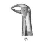 Fig 35 Dental Extracting Forcep