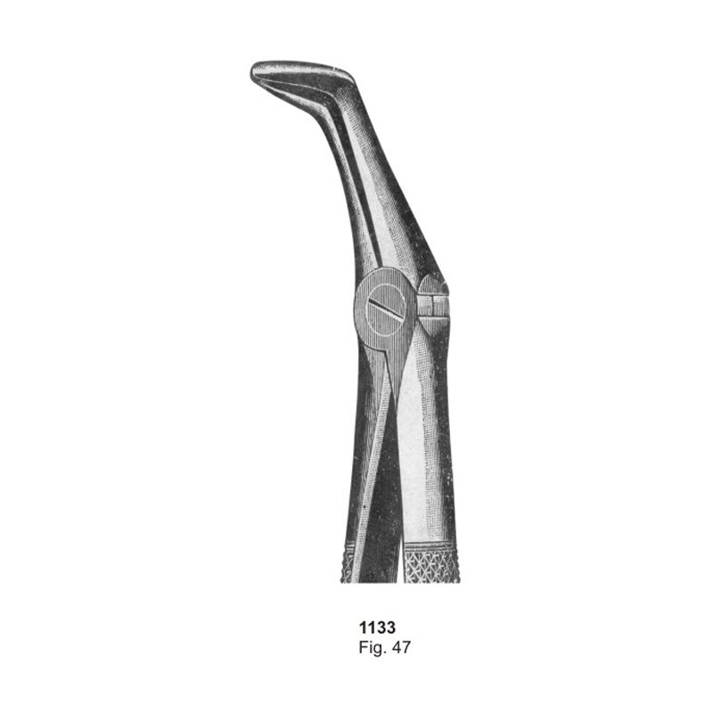 1133.jpg Fig 47 Dental Extracting Forcep - Image 1