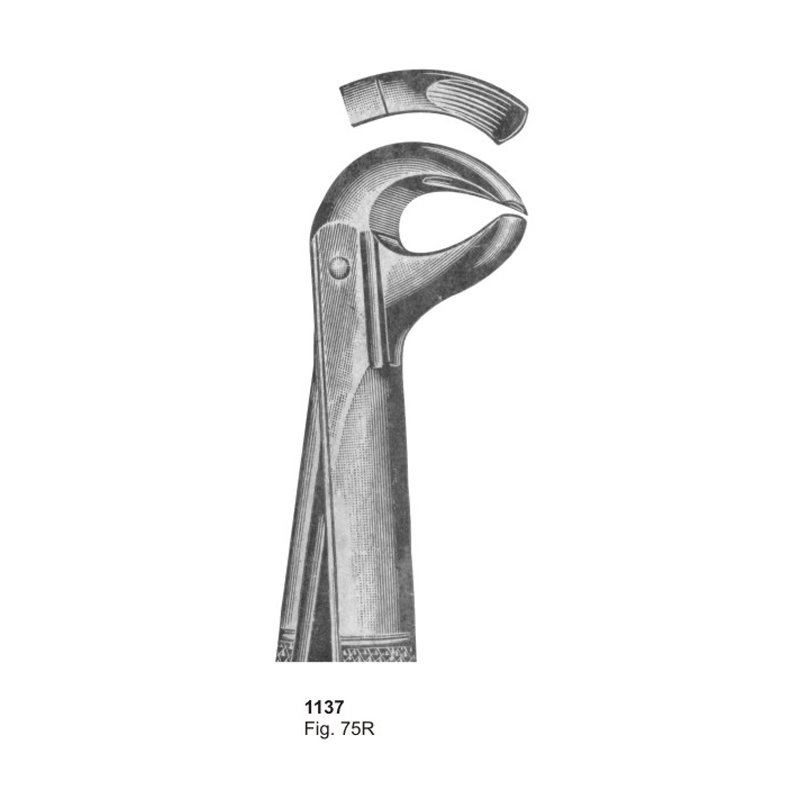 1137.jpg Fig 75R Dental Extracting Forceps - Image 1