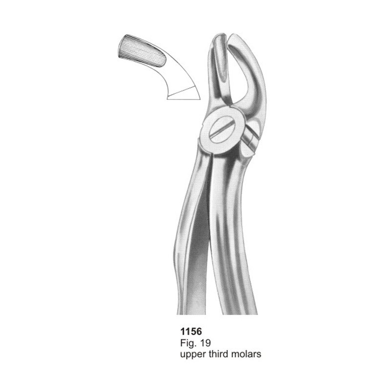 1156.jpg Fig 19 Upper Third Molars With Fitting Handle Dental Extracting Forcep - Image 1