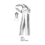 Fig 22 Lower Molars With Fitting Handle Dental Extracting Forceps