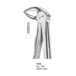 Fig 33A Lower Roots With Fitting Handle Dental Extraction Forcep