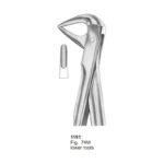 Fig 74M Lower Roots With Fitting Handle Dental Extraction Forcep