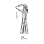 Fig 74N Lower Root With Fitting Handle Dental Extraction Forcep