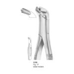 Fig 17 Lower Molars Dental Extraction Forceps