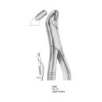 Fig 24 Upper Molars Dental Extracting Forcep