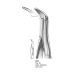 Fig 36 Lower Anteriors And Roots Dental Extraction Forcep