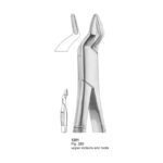 Fig 286 Upper Incisors And Roots Dental Extraction Forcep