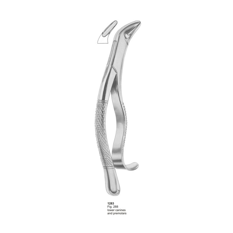 1283.jpg Fig 288 Lower Canines And Premolars Dental Extracting Forceps - Image 1
