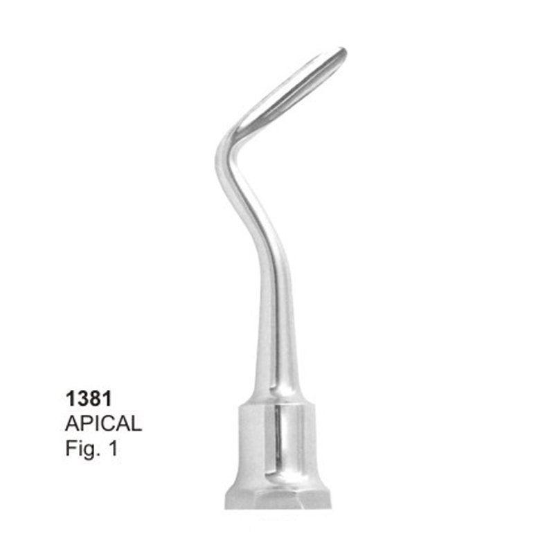 1381.jpg APICAL Fig 1 Root Elevators Dental Instruments - Image 1