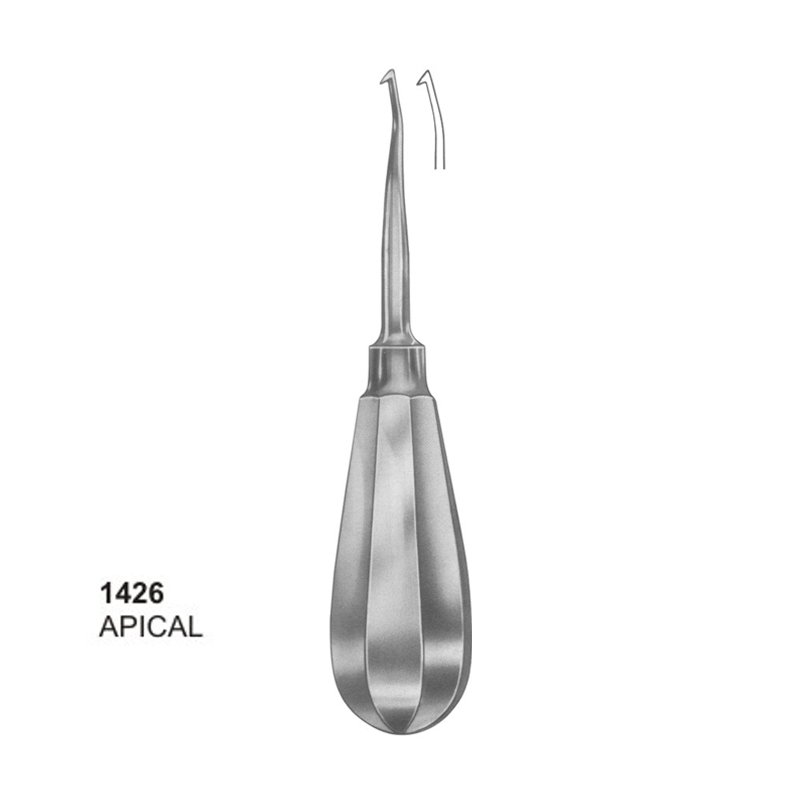 1426.jpg APICAL Root Elevators Dental Instruments - Image 1