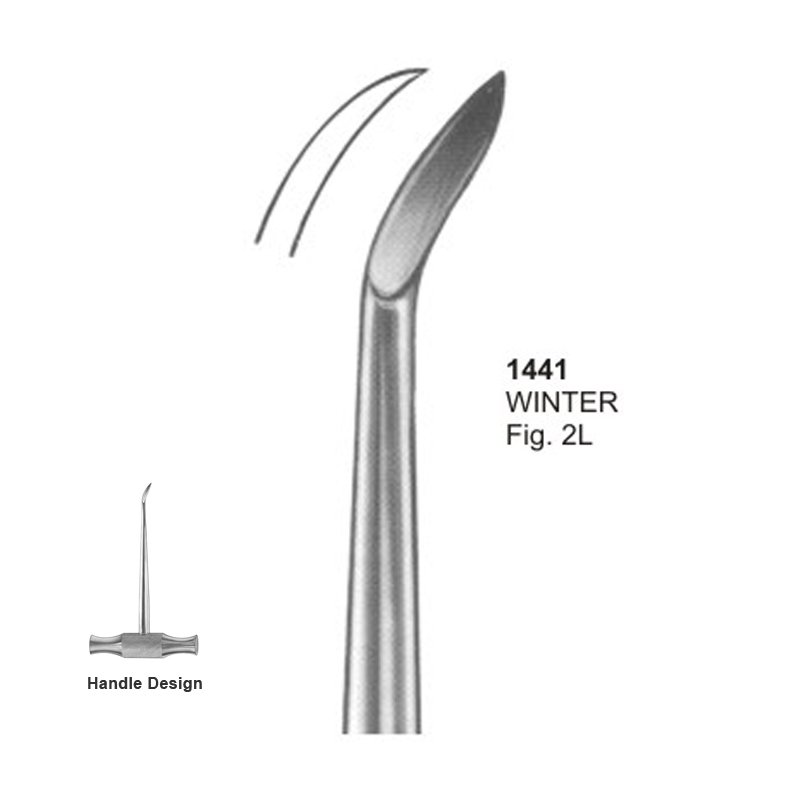 1441.jpg WINTER Fig 2L Dental Root Elevators - Image 1